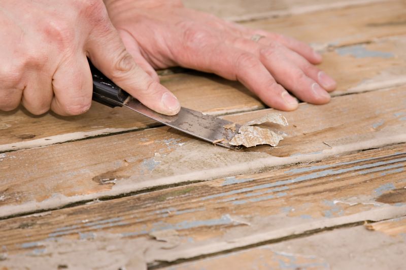 Chemical Varnish Remover